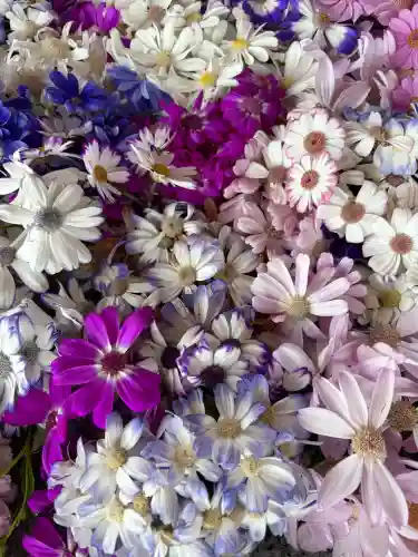 射水神社の{uncategorized: "未分類", other: "その他", undefined: "問題あり", building: "その他建物", grave: "お墓", sacred_gate: "鳥居", guardian: "狛犬", statue: "像", buddha: "仏像", history: "歴史", nature: "自然", garden: "庭園", animal: "動物", pagoda: "塔", temizu: "手水舎", mountain_gate: "山門・神門", sanctuary: "本殿・本堂", subordinate: "末社・摂社", art: "芸術", scenery: "景色", jizo: "地蔵", ema: "絵馬", goshuin: "御朱印", omikuji: "おみくじ", items: "授与品その他", amulet: "お守り", goshuincho: "御朱印帳", eats: "食事", festival: "お祭り", votive_dance: "神楽", shichigosan: "七五三参", wedding: "結婚式", experience: "体験その他", initially: "初詣", around: "周辺", anti_infection: "感染症対策"}