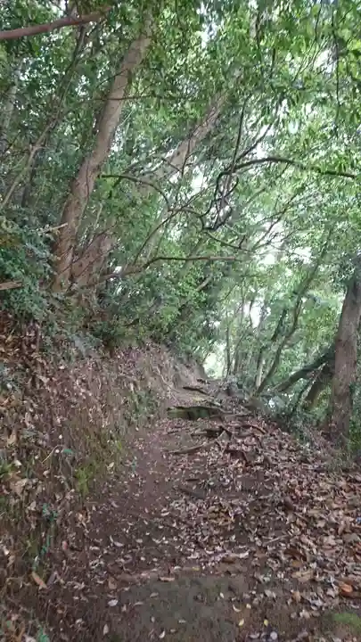 住吉神社の周辺