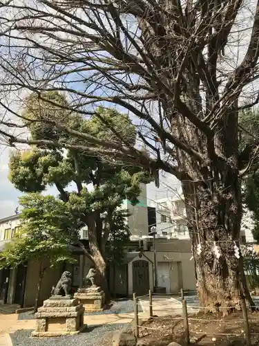 鳩森八幡神社(東京都)