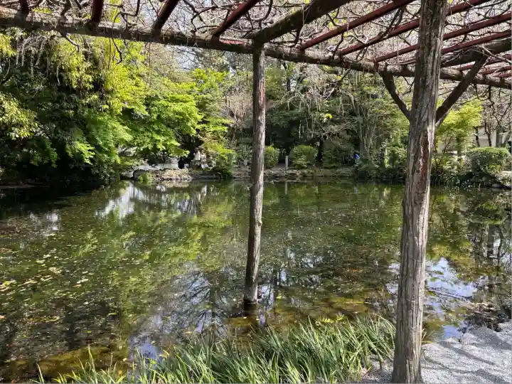 富士山本宮浅間大社(静岡県)