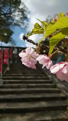 南方神社の自然