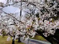 慈恩寺(埼玉県)