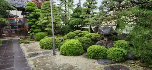 正徳寺の庭園