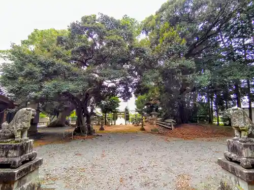 白鳥神社（白鳥町）の建物その他