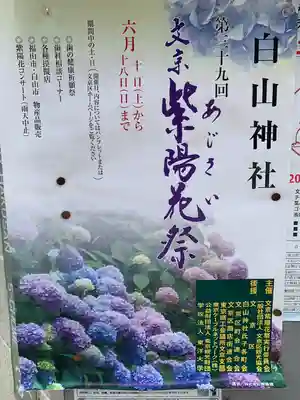 白山神社(東京都)