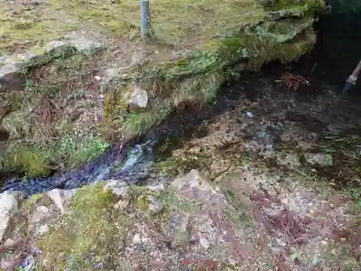 一本杉神社(島根県)
