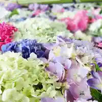 立志神社の自然