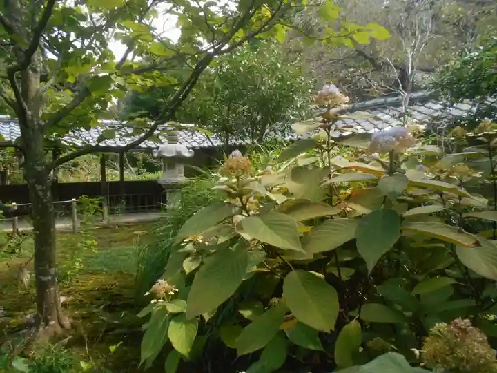 浄智寺の庭園