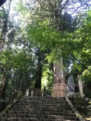  川上山若宮八幡宮の建物その他