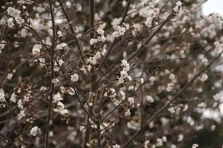 開成山大神宮の庭園