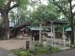 八幡社（児子八幡社）の本殿