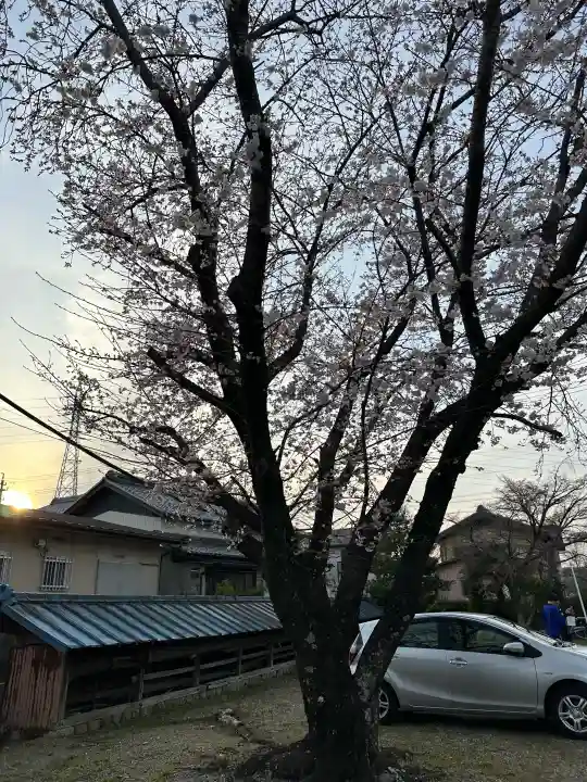 鳥取山田神社の{uncategorized: "未分類", other: "その他", undefined: "問題あり", building: "その他建物", grave: "お墓", sacred_gate: "鳥居", guardian: "狛犬", statue: "像", buddha: "仏像", history: "歴史", nature: "自然", garden: "庭園", animal: "動物", pagoda: "塔", temizu: "手水舎", mountain_gate: "山門・神門", sanctuary: "本殿・本堂", subordinate: "末社・摂社", art: "芸術", scenery: "景色", jizo: "地蔵", ema: "絵馬", goshuin: "御朱印", omikuji: "おみくじ", items: "授与品その他", amulet: "お守り", goshuincho: "御朱印帳", eats: "食事", festival: "お祭り", votive_dance: "神楽", shichigosan: "七五三参", wedding: "結婚式", experience: "体験その他", initially: "初詣", around: "周辺", anti_infection: "感染症対策"}