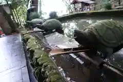 小倉神社の手水