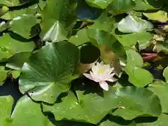 山清寺(福島県)