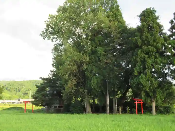 諏訪神社(新潟県)