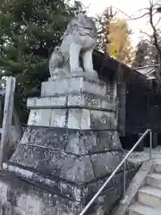 開成山大神宮の狛犬