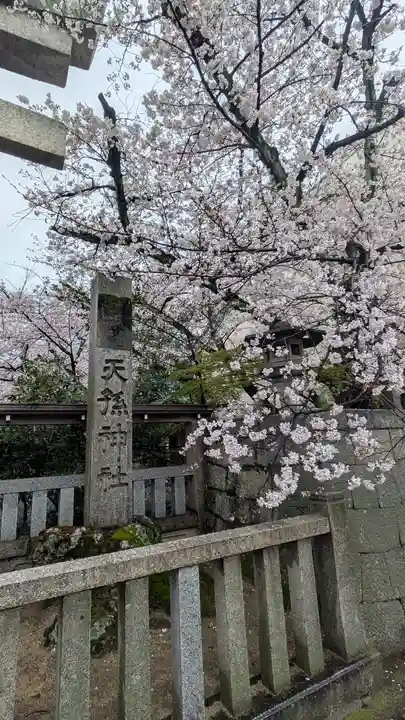 天孫神社(滋賀県)