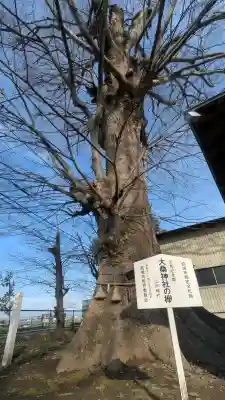 大桑神社の{uncategorized: "未分類", other: "その他", undefined: "問題あり", building: "その他建物", grave: "お墓", sacred_gate: "鳥居", guardian: "狛犬", statue: "像", buddha: "仏像", history: "歴史", nature: "自然", garden: "庭園", animal: "動物", pagoda: "塔", temizu: "手水舎", mountain_gate: "山門・神門", sanctuary: "本殿・本堂", subordinate: "末社・摂社", art: "芸術", scenery: "景色", jizo: "地蔵", ema: "絵馬", goshuin: "御朱印", omikuji: "おみくじ", items: "授与品その他", amulet: "お守り", goshuincho: "御朱印帳", eats: "食事", festival: "お祭り", votive_dance: "神楽", shichigosan: "七五三参", wedding: "結婚式", experience: "体験その他", initially: "初詣", around: "周辺", anti_infection: "感染症対策"}