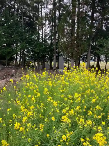 温泉神社(栃木県)