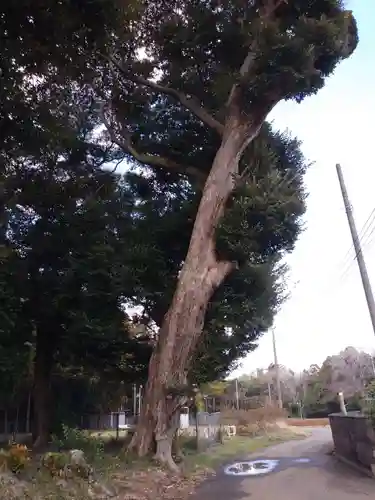 香取神社の周辺