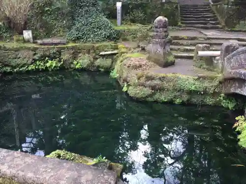 浄智寺の庭園