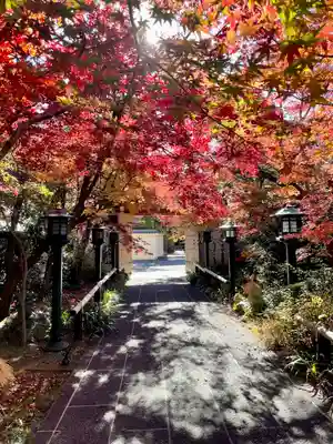 迎接院(東京都)