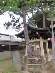 柴又八幡神社の自然