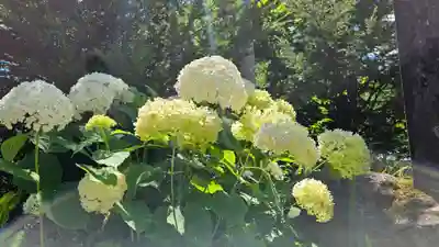 戸隠神社火之御子社(長野県)