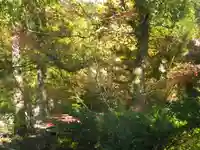 鶴岡八幡宮の自然