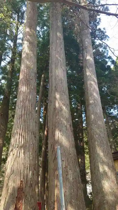 横蔵寺(岐阜県)