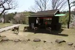 興福寺(奈良県)