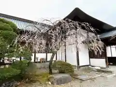 如来寺の自然