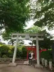 乙女稲荷神社の鳥居