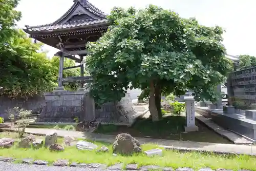 善重寺の建物その他