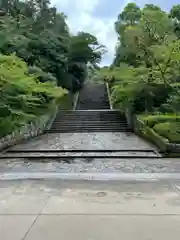 知恩院(京都府)