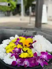 鹿島台神社の手水