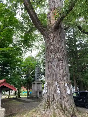 音更神社の自然