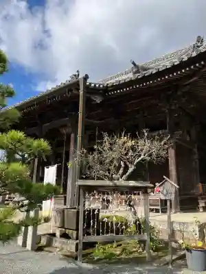 穴太寺(京都府)