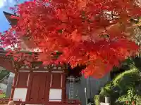 善峯寺(京都府)