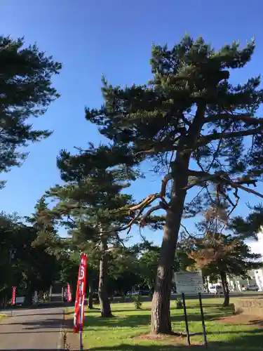 市来知神社の自然