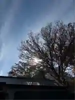 日吉神社(神奈川県)