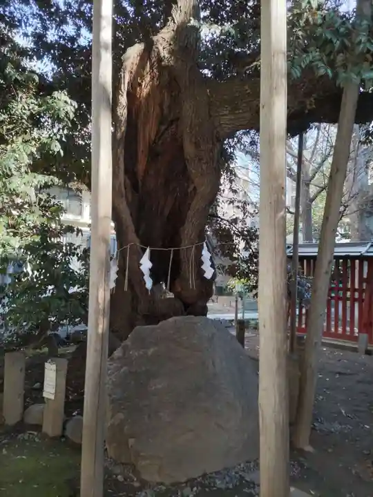 金王八幡宮(東京都)