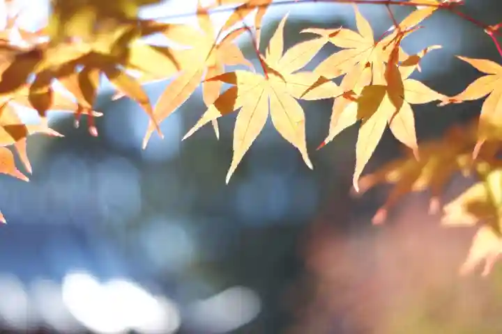 龍田大社(奈良県)