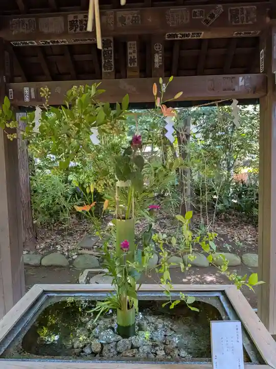 赤坂氷川神社(東京都)