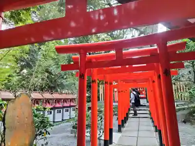 來宮神社(静岡県)