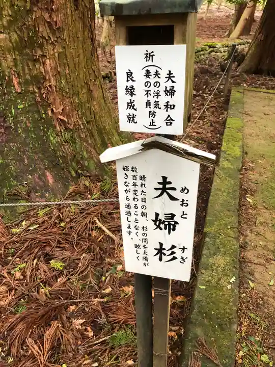 若狭彦神社(上社)(福井県)