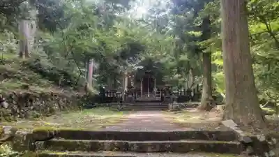 養父神社(兵庫県)