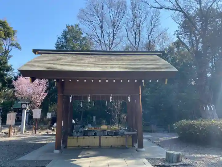 櫻木神社の{uncategorized: "未分類", other: "その他", undefined: "問題あり", building: "その他建物", grave: "お墓", sacred_gate: "鳥居", guardian: "狛犬", statue: "像", buddha: "仏像", history: "歴史", nature: "自然", garden: "庭園", animal: "動物", pagoda: "塔", temizu: "手水舎", mountain_gate: "山門・神門", sanctuary: "本殿・本堂", subordinate: "末社・摂社", art: "芸術", scenery: "景色", jizo: "地蔵", ema: "絵馬", goshuin: "御朱印", omikuji: "おみくじ", items: "授与品その他", amulet: "お守り", goshuincho: "御朱印帳", eats: "食事", festival: "お祭り", votive_dance: "神楽", shichigosan: "七五三参", wedding: "結婚式", experience: "体験その他", initially: "初詣", around: "周辺", anti_infection: "感染症対策"}