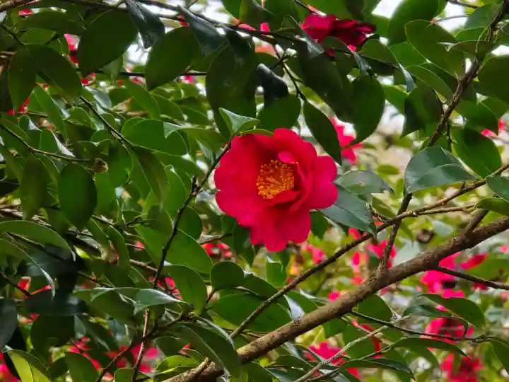 天龍寺(京都府)