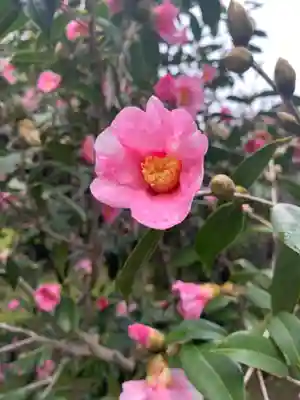 城南宮(京都府)